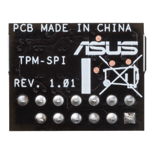 ASUS TPM-SPI TPM Chip