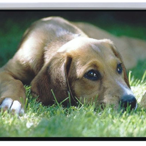 Brateck Auto-lock Manual Projection Screen-72’’(1.45X1.10M) /(4:3 Ratio)